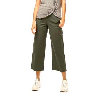 Aritzia Pants